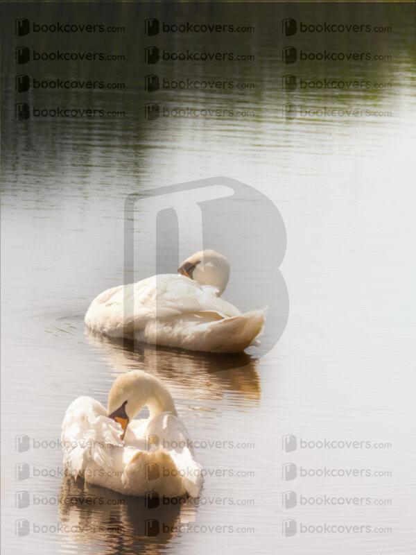 jayf_26102145