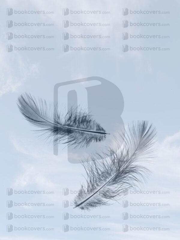 jayf_26100730