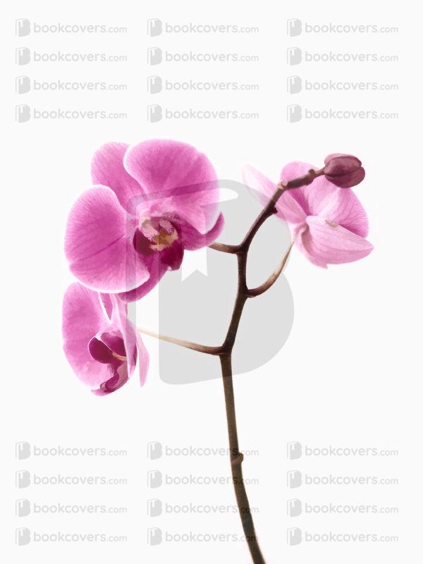 artfulbluestudio_26102920
