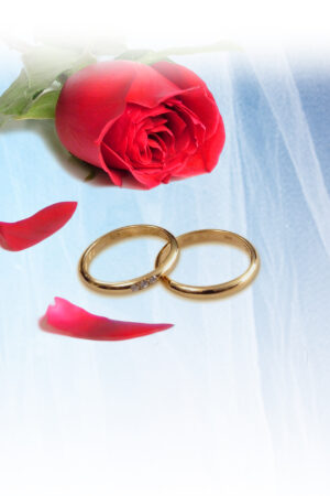 bravocovers_26102431