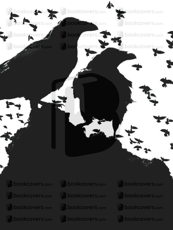 bravocovers_26103345