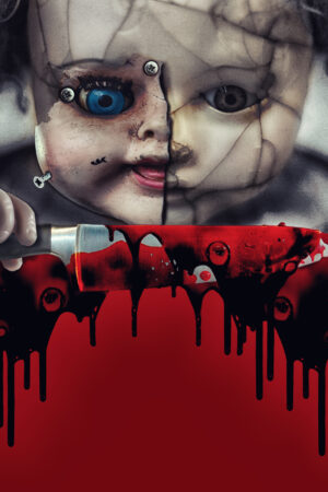 bravocovers_26104263
