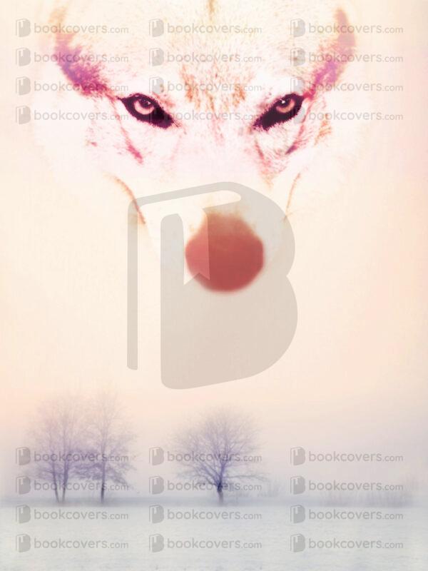 bravocovers_26105789