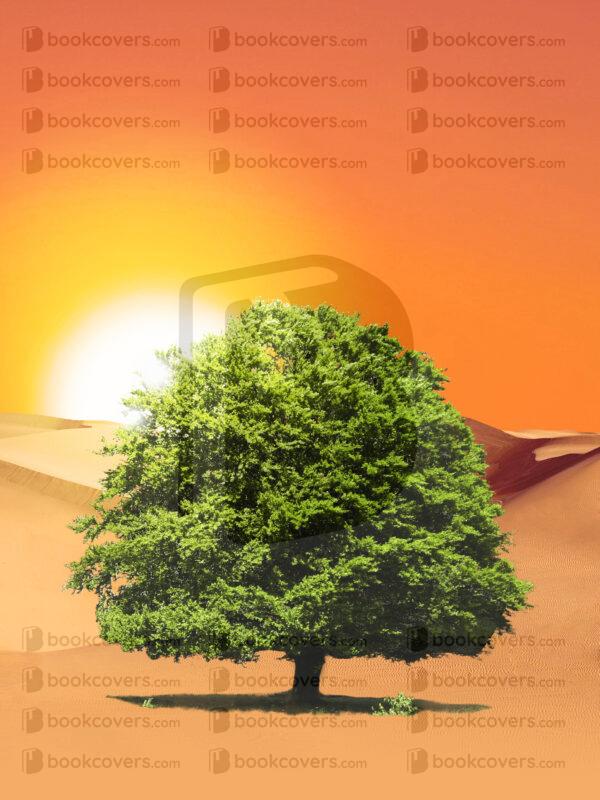 bravocovers_26106371