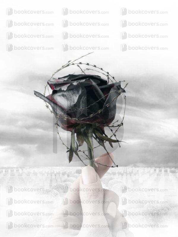 bravocovers_26106455