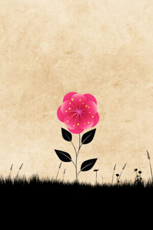 bravocovers_26106607