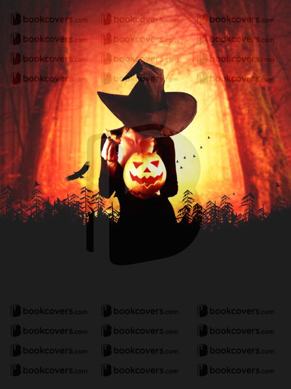 bravocovers_26107043