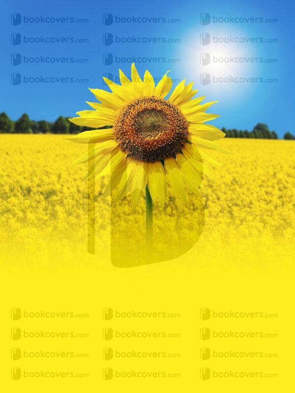 bravocovers_26107879