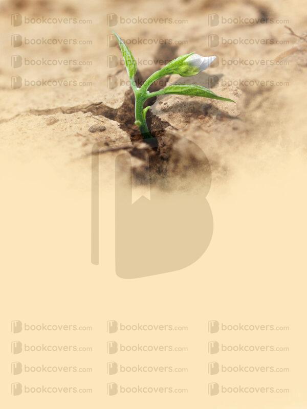 bravocovers_26107401