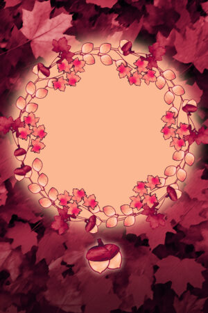 bravocovers_26107940