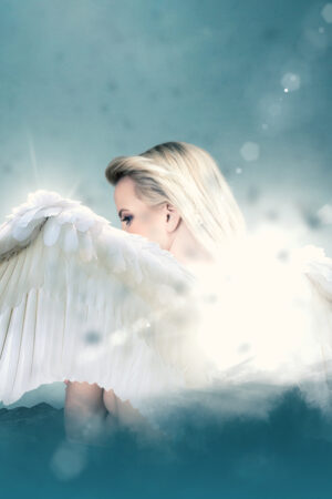 bravocovers_26108870