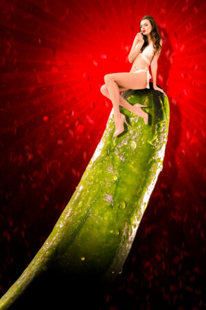 bravocovers_26111003