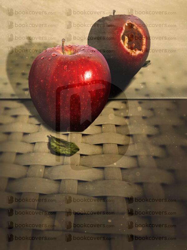 bravocovers_26111264