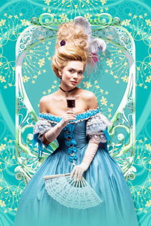bravocovers_26112000