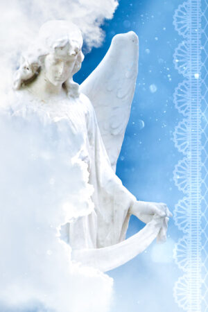 bravocovers_26112938