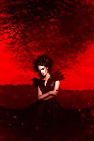 bravocovers_26113242