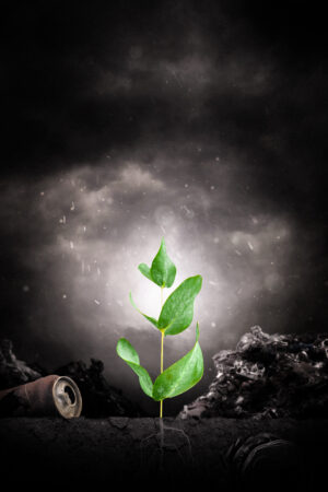 bravocovers_26115779