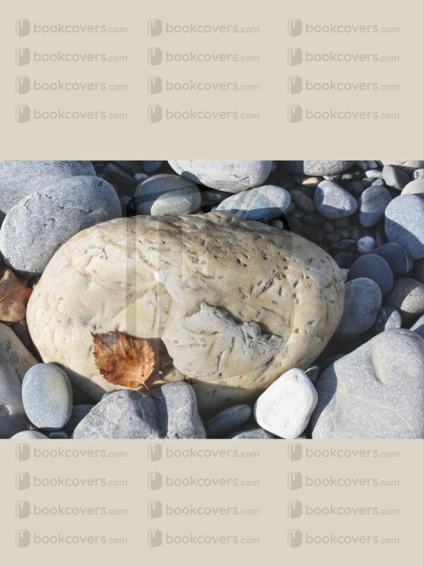 terryemelia_26116565