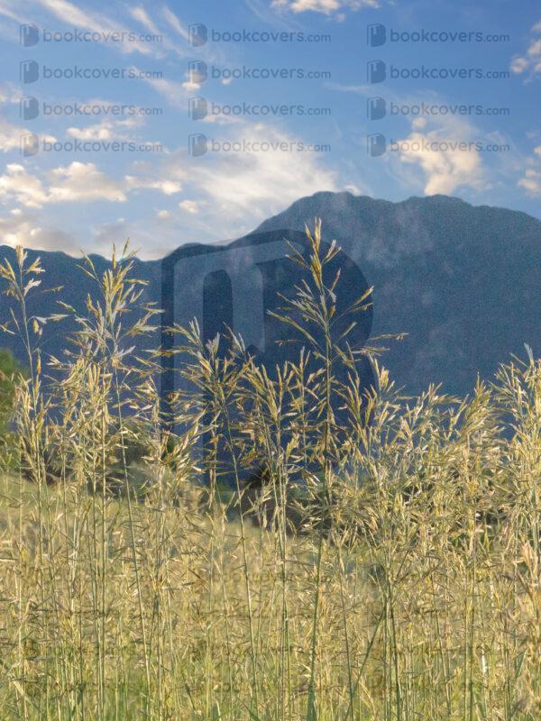christylihani_26117973