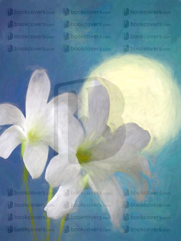 christylihani_26119682