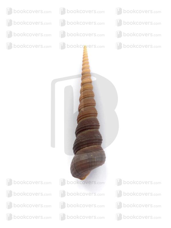 vanessagfd_26114144