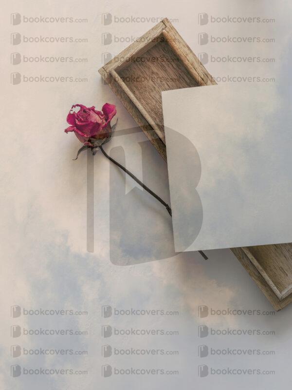 vanessagfd_26115304