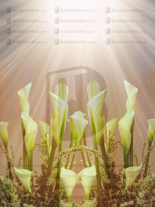 tevdesign_26123238