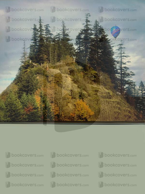 tevdesign_26123648
