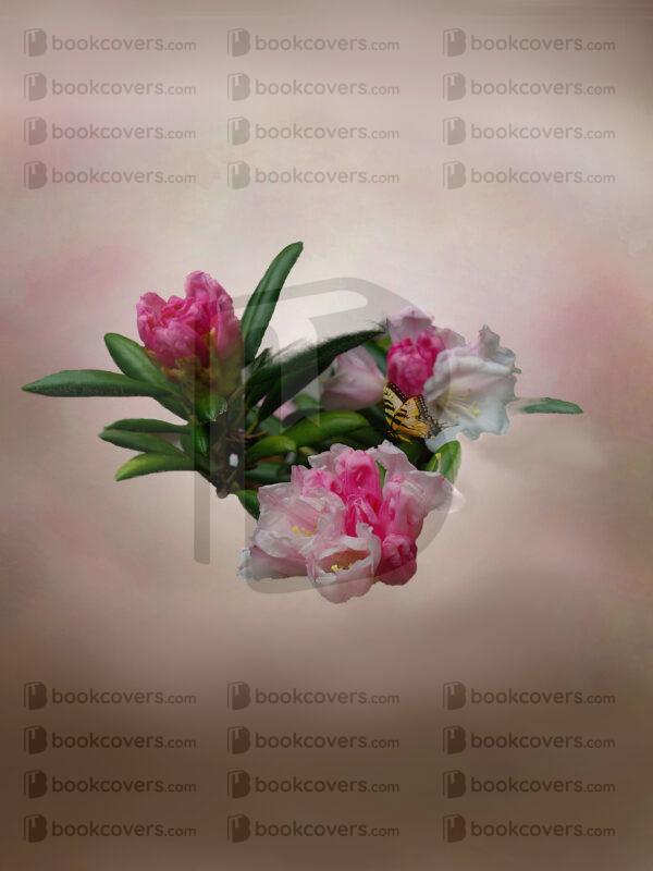 tevdesign_26123938