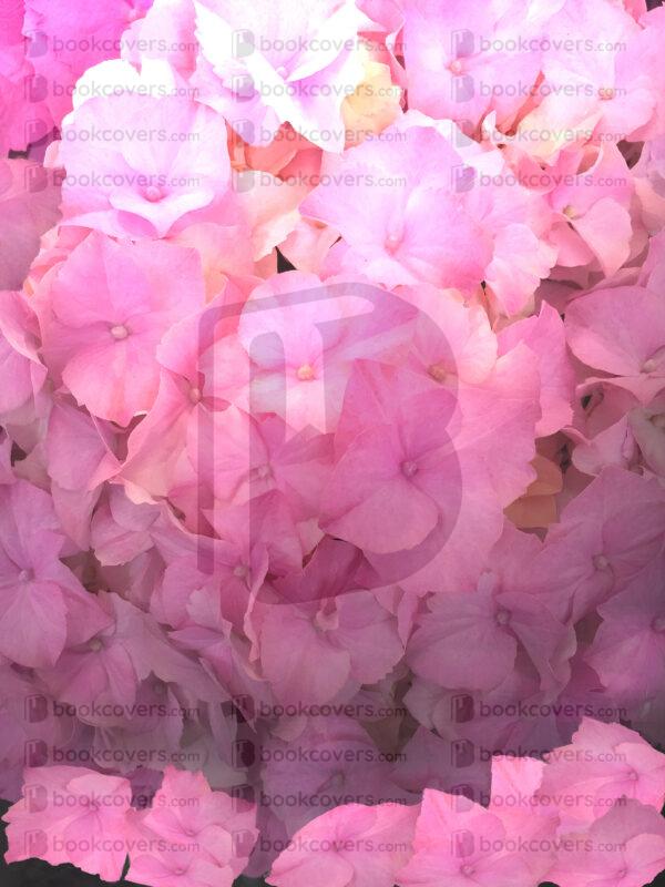 tevdesign_26123970
