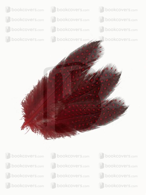 tevdesign_26124269
