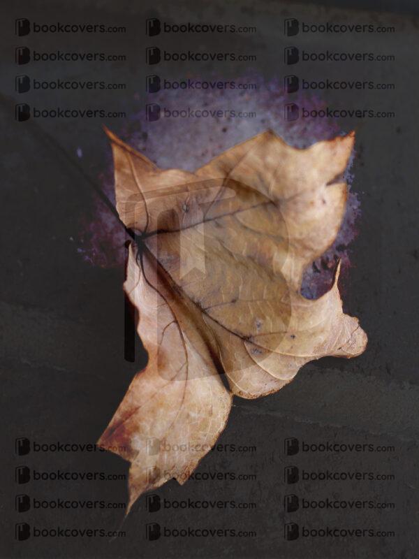 annapierce_26124928
