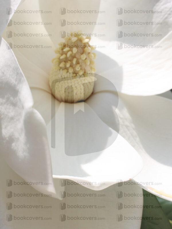 annapierce_26125233