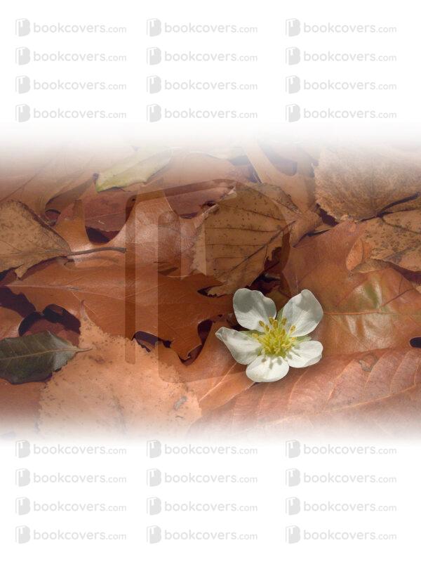 barbarac_26201271