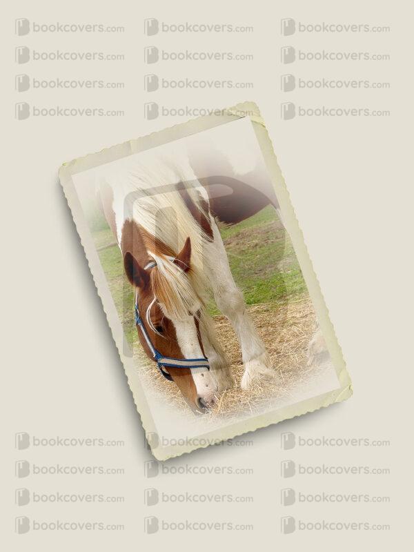 barbarac_26181787