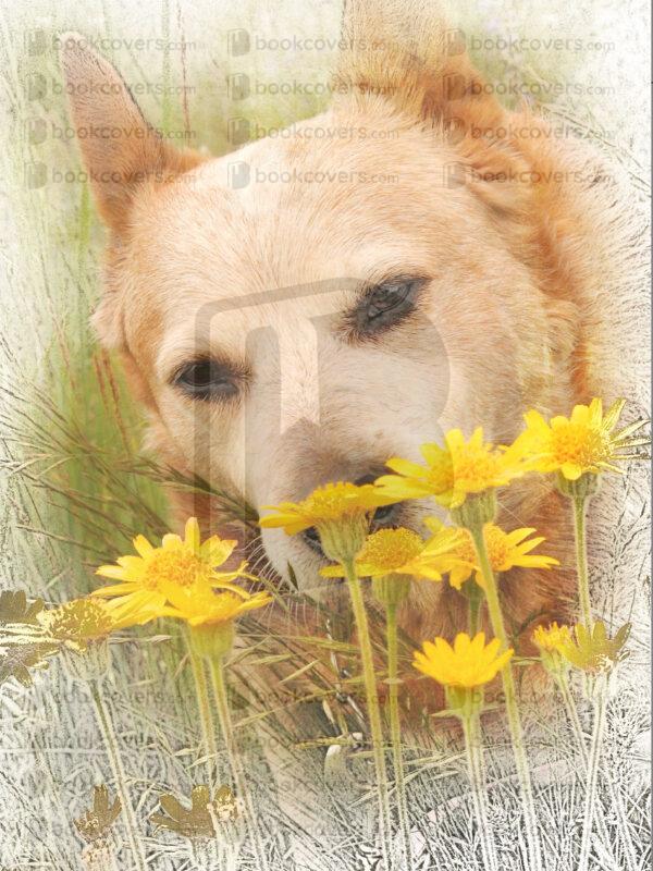 imagestoart_26180710
