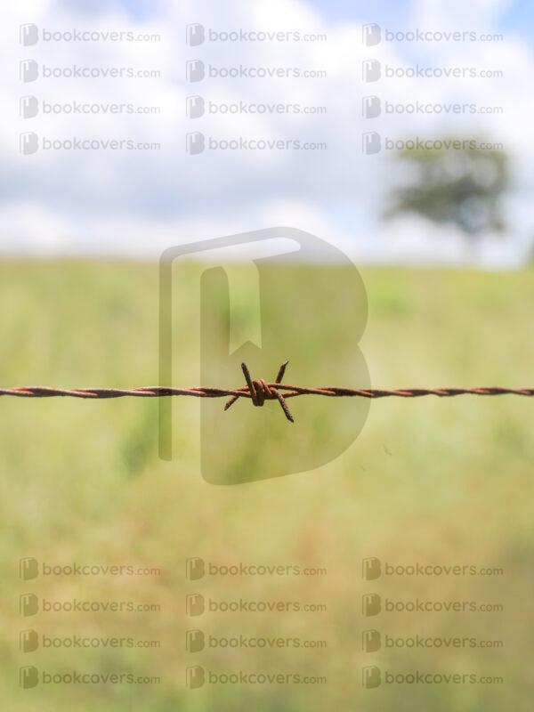 tinapappaslee_26177276