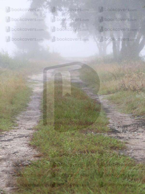 tinapappaslee_26177278