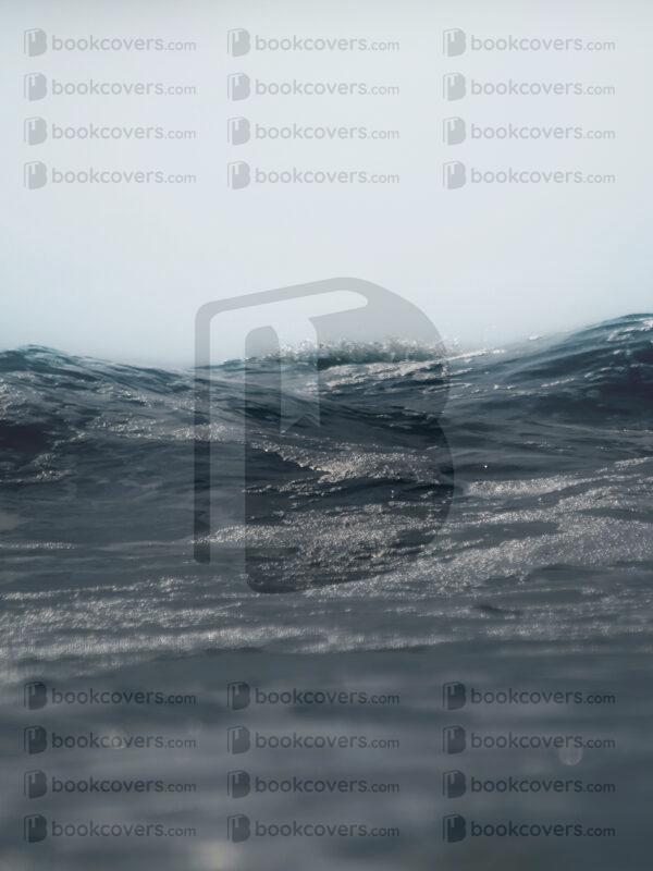 tinapappaslee_26177287