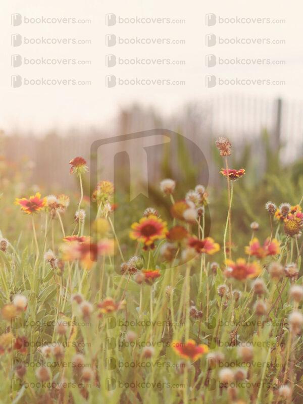 tinapappaslee_26202074
