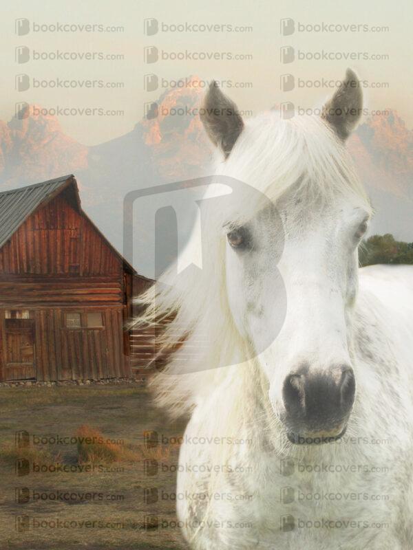 tinapappaslee_26184994
