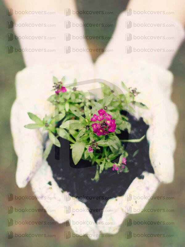 tinapappaslee_26183187