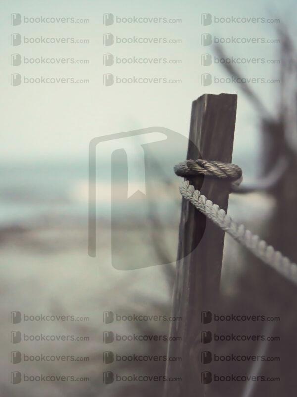 tinapappaslee_26110951