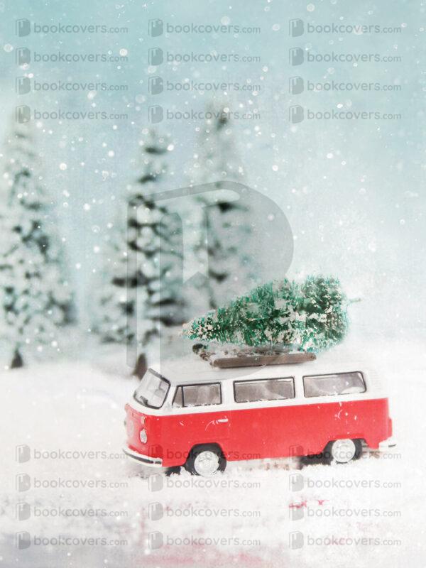 tinapappaslee_26112293