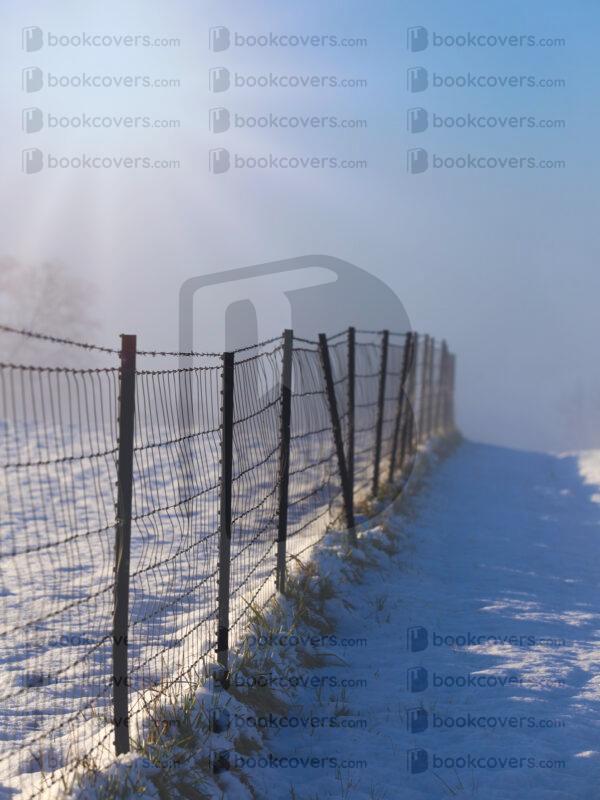 tinapappaslee_26115277