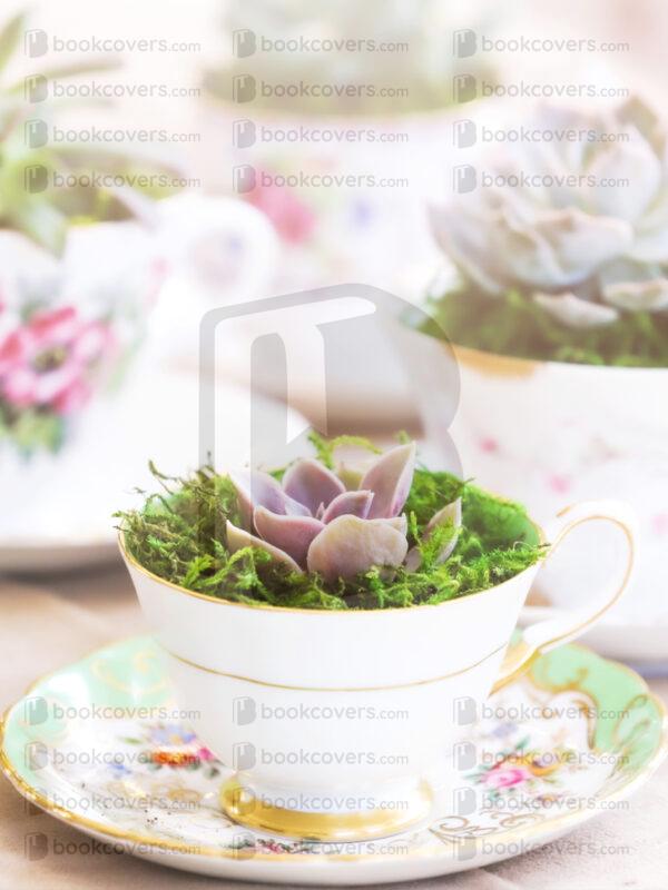 tinapappaslee_26117041
