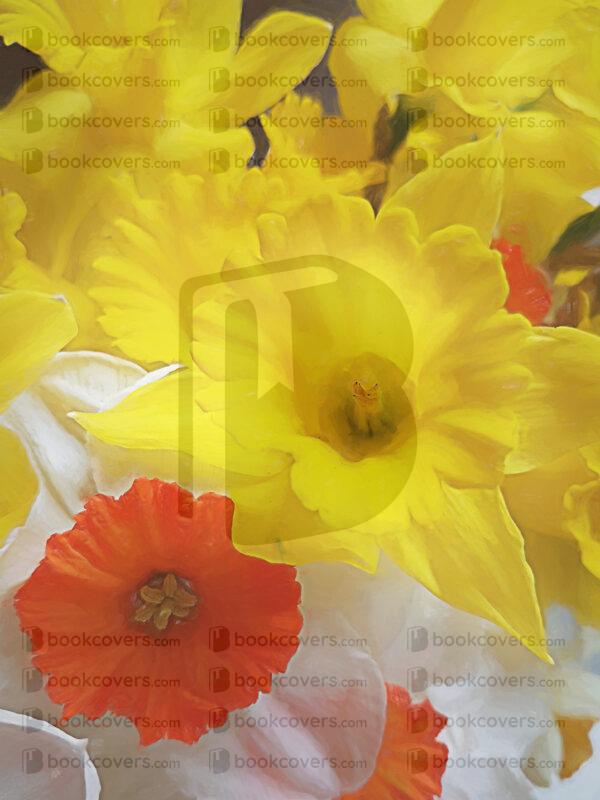dragonjools_26185513