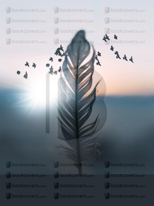 juliemerakilifedesigns_26184328