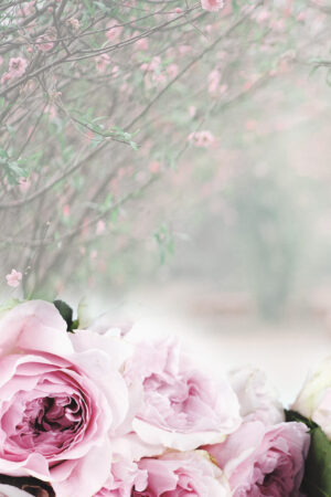 jascribbles_26187436