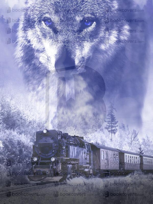 parzbookcovers_26113408
